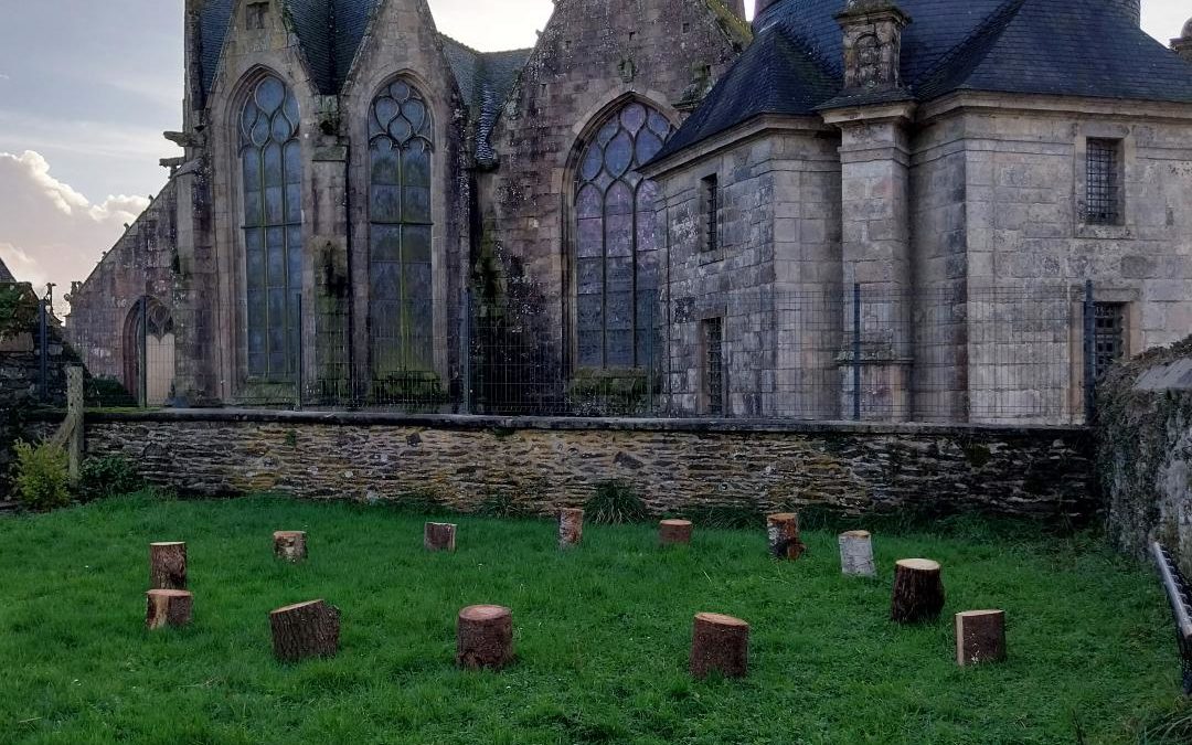 Revégétalisation et création de potagers dansle cadre de la classe du dehors