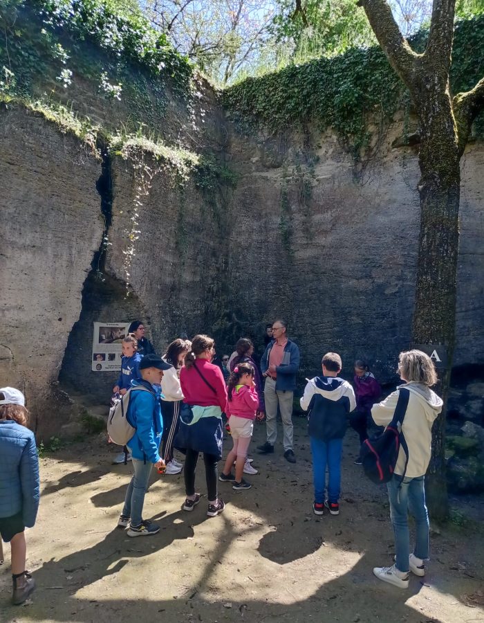 IMG-20230503-WA0002(1)