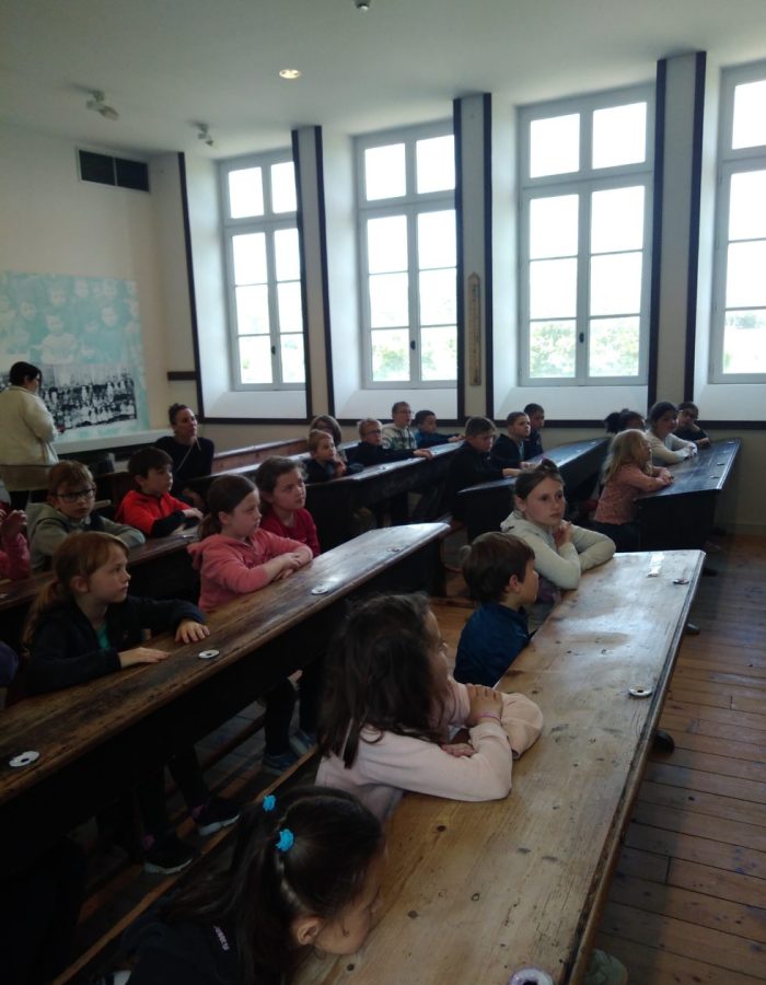 IMG_20230512_134039-980x1307